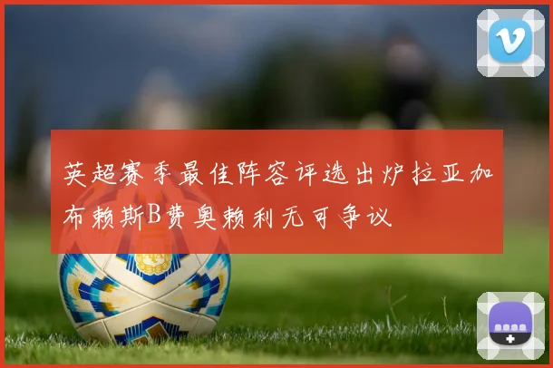 英超赛季最佳阵容评选出炉拉亚加布赖斯B费奥赖利无可争议
