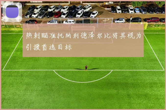 热刺瞄准托纳利德泽尔比将其视为引援首选目标