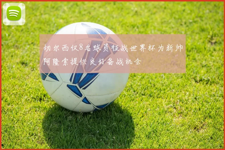 切尔西仅8名球员征战世界杯为新帅阿隆索提供良好备战机会
